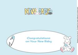 Insert for Cute Bunny and Blue Pram New Baby Large Dl