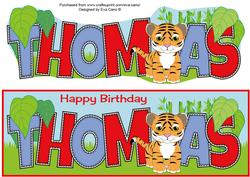 Cute Tiger Thomas Large Dl