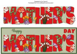 Flowers Mother's Day Large Dl