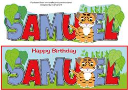 Cute Tiger Samuel Large Dl