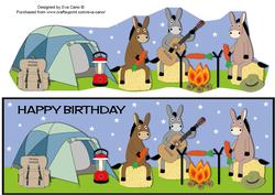 Camping Donkeys Large Dl