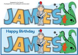 Little Knight James Large Dl