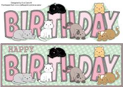 Cats Birthday Large Dl 2