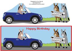 Hitchhiking Donkeys Large Dl