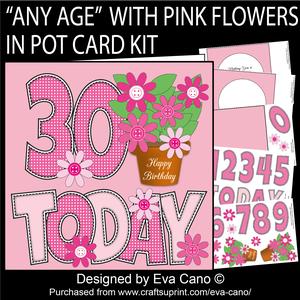 'any Age' with Pink Flowers in Pot Card Kit