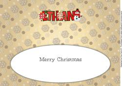 Cute Snowman Ethan Large Dl Insert