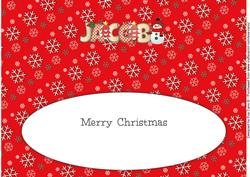 Cute Snowman Jacob Large Dl Insert