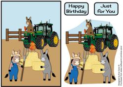 Country Donkeys
