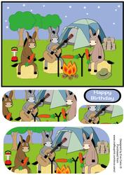 Camping Donkeys Pyramid