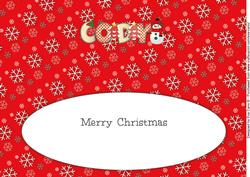 Cute Snowman Cody Large Dl Insert