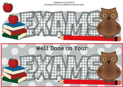 Wise Owl Exams Large Dl