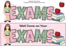 Teenager Girl Exams Large Dl