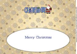Santa Christmas Large Dl 2 Insert