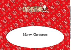 Santa Christmas Large Dl 3 Insert