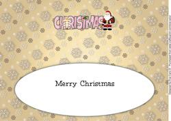 Santa Christmas Large Dl 4 Insert
