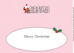 Santa with Rudolf Christmas Large Dl 3 Insert