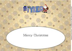 Santa Tyler Large Dl Insert
