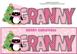 Eddie the Penguin Granny Large Dl