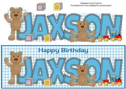 Teddies Jaxson Large Dl