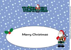 Merry Christmas from Thornhill Large Dl Insert