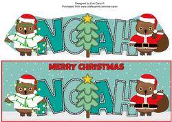 Christmas Owls Noah Large Dl