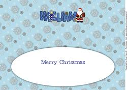 Santa William Large Dl Insert