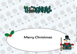 Merry Christmas from Thornhill Snowman Large Dl Insert