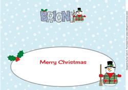 Snowman Briony Large Dl Insert