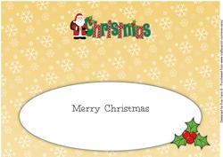 Santa in Coat Christmas Large Dl 2 Insert