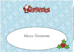 Santa in Coat Christmas Large Dl 3 Insert