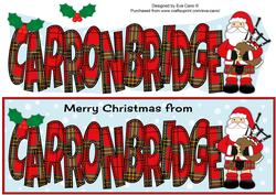 Merry Christmas from Carronbridge Large Dl