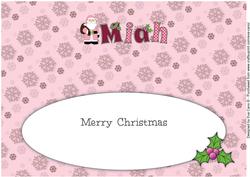 Santa in Coat Miah Large Dl Insert