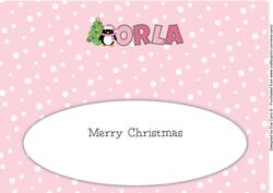 Eddie the Penguin Orla Large Dl Insert