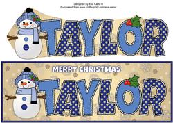 Cute Snowman Taylor Large Dl