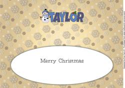 Cute Snowman Taylor Large Dl Insert