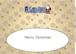 Santa Jamie Large Dl Insert