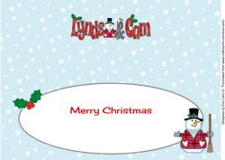 Snowman Lynds & Cam Large Dl Insert