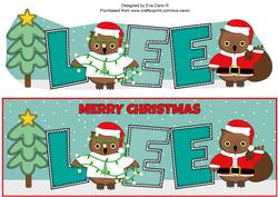 Christmas Owls Lee Large Dl
