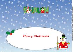 Snowmen Shaun Large Dl Insert