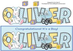 New Baby Boy Oliver with Bunny & Pram Large Dl
