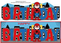 Spidergirl Birthday Large Dl