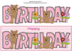 Teddies Birthday Large Dl 2