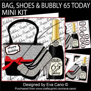 Bag, Shoes and Bubbly 65 Today Mini Kit