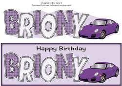 Purple Porsche Briony Large Dl