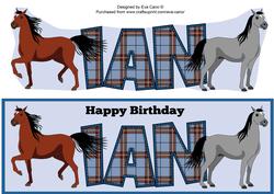 Horses Ian Large Dl