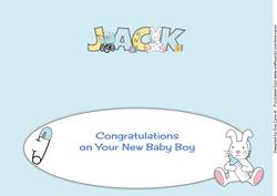New Baby Boy Jack with Bunny & Pram Large Dl Insert