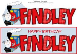 Terry the Train Findley Large Dl