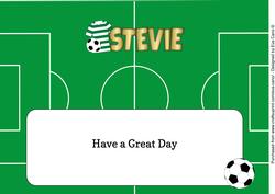 Green & White Hoops Football Top Stevie Large Dl Insert