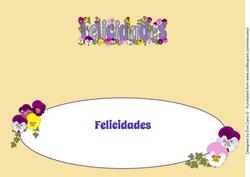 Bright Flowers Felicidades Large Dl Insert