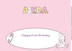Cute Bunny with Baby Bottle Ayda 1st Large Dl Insert